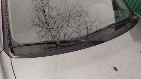 Очиститель ветрового стекла автомобиля лада приора